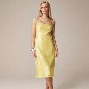 Anna October X J.Crew sequin slip dress
